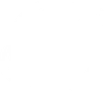 Globalcarrier